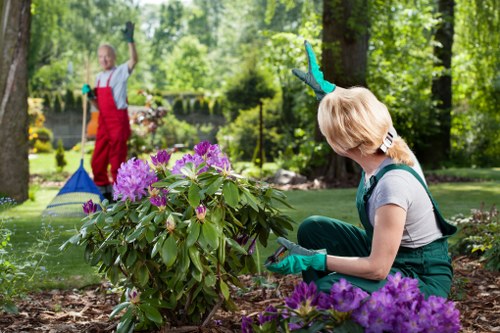 Professionally trimmed hedges in a well-maintained Enfield garden