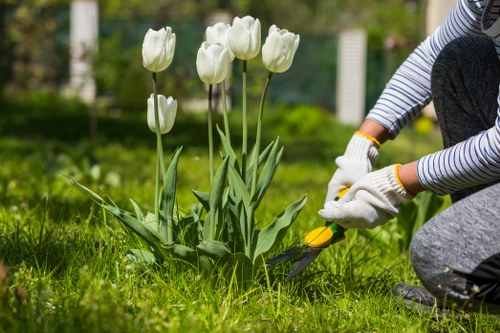 Professional landscapers working in Enfield