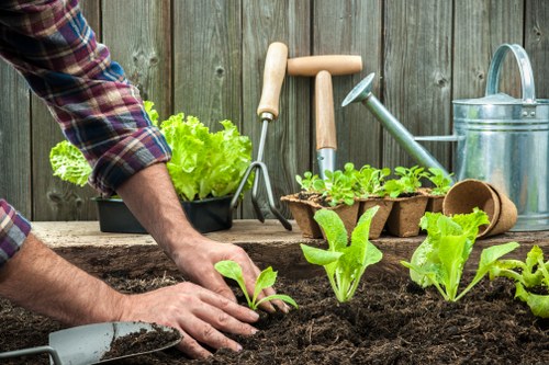 A close-up image of a gardener's hands planting young lettuce and leafy greens into dark, rich soil in a well-maintained backyard garden. The garden bed is bordered by a weathered wooden fence, and other gardening tools such as a watering can, small hand trowel, and plant pots are visible resting on a wooden surface nearby. In the background, various gardening tools including a garden fork and a watering can suggest active outdoor maintenance. The freshly turned soil and healthy green plants indicate recent planting activity, typical of seasonal garden preparation in Enfield. The scene is illuminated by natural daylight, with an outdoor environment suitable for lawn and garden care services provided by Landscapers Enfield, focusing on horticultural accuracy and natural aesthetics in a temperate climate.