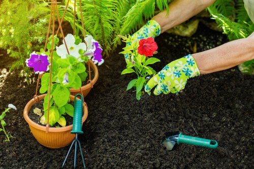 A gardener's hands, wearing colorful floral-patterned gloves, planting bright red and green flowering plants into dark, rich soil within a landscaped garden. Nearby, two hanging terracotta pots contain vibrant purple and white flowering plants supported by wooden stakes, positioned above a lush green hedge and fern foliage. A small garden hand fork and pruning shears are placed on the ground close to the planting area, which is part of a well-maintained backyard with a defined garden bed border. The scene is set outdoors under natural lighting with a clear, sunny atmosphere, highlighting the healthy, dense grass in the surrounding lawn and the variety of textures from the soil, plant leaves, and garden tools. This setup reflects professional gardening work typical of a landscaping service in Enfield, supporting garden planting and maintenance activities.