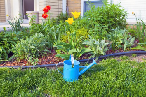 A well-maintained front garden featuring a lush, green lawn with dense, evenly cut grass in the foreground. Behind the grass, there is a flower bed bordered by dark edging material, containing blooming tulips with vibrant red and yellow petals, along with some leafy green plants and smaller flowering flowers. A blue garden watering can is positioned on the lawn, indicating ongoing outdoor maintenance. In the background, there are hedges and a light-colored house with windows, suggesting a residential setting typical of gardens in Enfield, London. The scene is lit by natural daylight, with clear weather conditions and no visible signs of recent rain or overcast skies, reflecting a tidy and inviting outdoor space often supported by professional gardening services.