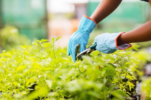 Eco-friendly lawn mowing practices in Enfield