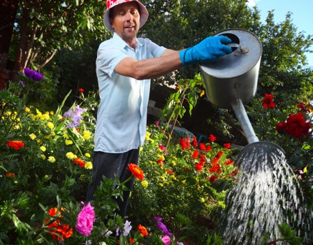 A man wearing a red hat, light blue shirt, and blue gardening gloves is watering a lush, well-maintained garden with a black watering can. The garden features a variety of vibrant flowering plants in reds, pinks, purples, and yellows, arranged in beds bordered by greenery. In the background, there are tall trees with green foliage providing shade, and the scene is set outdoors on a clear, sunny day, enhancing the natural colour palette of the garden. The grassy lawn appears healthy and dense, and the scene suggests regular outdoor maintenance typical of professional gardening services provided by Landscapers Enfield. Details such as soil, paving, and plant distribution highlight the careful landscaping work intended to create a vibrant and inviting outdoor space in the Enfield area, aligning with the company’s gardening services on the Pricing and Quotes page at https://landscapersenfield.co.uk/pricing-and-quotes.