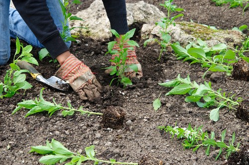 Eco-friendly landscaping practices in Enfield