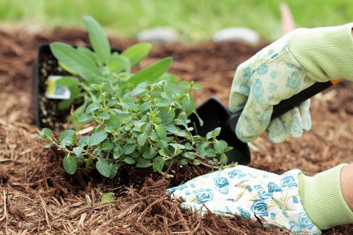Seasonal garden maintenance by Enfield experts