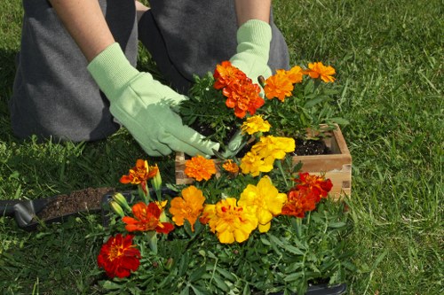A gardener is planting vibrant marigold flowers in a wooden planter box situated on a well-maintained grassy lawn, with the gardener wearing light green gardening gloves and dark clothing. The flower bed includes a variety of marigolds with bright orange, yellow, and red blooms, creating a colourful display against the green foliage. The outdoor space appears to be part of a residential garden, featuring a neatly trimmed lawn in the foreground and a gently shaded area, possibly indicating natural sunlight. The scene emphasizes basic planting and garden maintenance activities typical of gardening services in the Enfield area, with a focus on vibrant seasonal flower planting and garden enhancement. The background shows a lush, natural environment suitable for outdoor landscaping projects offered by companies such as Landscapers Enfield.
