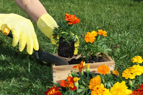 Skilled landscapers working on a garden project
