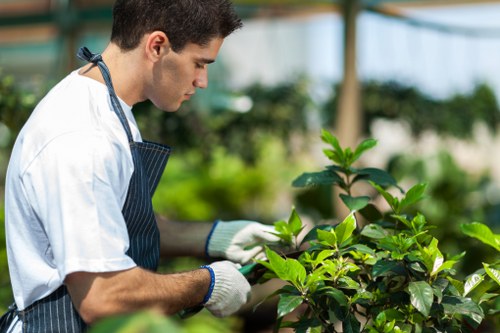 Pruning garden plants in Enfield
