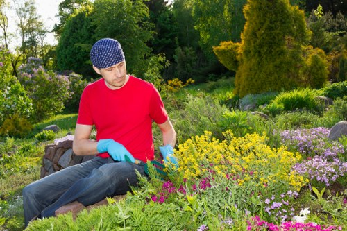 Advanced lawn mowing techniques for a perfect yard
