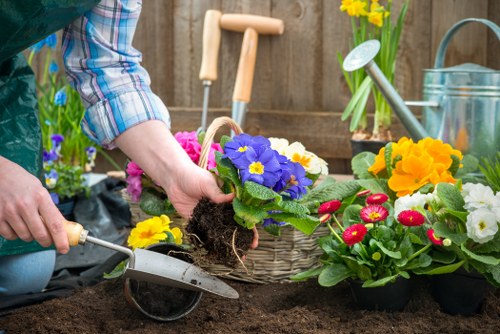 A gardener's hands are planting a colorful flowering plant with vibrant purple and yellow petals into rich, dark soil in a garden bed. Surrounding the planting area are various garden tools and supplies, including a small hand trowel, a watering can, and pots of bright yellow, red, and pink primroses and pansies. In the background, a wooden fence encloses the outdoor space, with a watering can and a bouquet of yellow daffodils placed on a work surface. The garden appears to be well-maintained, with a neat layout of flower beds and a variety of blooming plants, indicating ongoing garden care typical of professional landscaping services in the Enfield area, as highlighted on landscapersenfield.co.uk. The weather is clear, with natural daylight illuminating the scene, suggesting a pleasant day for outdoor gardening activities that enhance the visual appeal and biodiversity of this landscaped yard.
