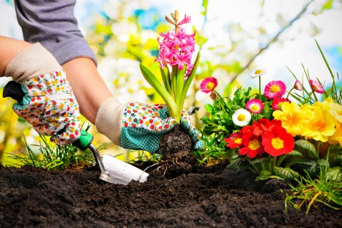 In the outdoor garden of Enfield, a person wearing gardening gloves is planting a pink hyacinth flower into freshly turned, dark soil. Surrounding the planting area are vibrant, colourful flowers including red, yellow, white, and pink blooms, which create a lively and inviting display. The garden features a well-maintained lawn with dense, green grass in the foreground, and a backdrop of blurred trees and shrubs, indicating a lush, landscaped yard typical of suburban outdoor spaces in the Enfield area. Bright sunlight illuminates the scene, suggesting pleasant weather suitable for gardening activities. This image captures a moment of gardening work that highlights planting and landscape care services, with the focus on gently placing the flower into the ground amidst a diverse flower bed, emphasizing natural tones and tactile textures of the soil, plants, and garden tools used, aligning with professional gardening and landscaping practices in the local area.