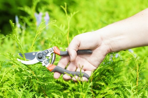 A close-up view of a person's hand using a pair of pruning shears with red and black handles to trim green foliage in a well-maintained garden. The garden features dense, leafy plants with a variety of textures, and the background shows a vibrant green lawn area. The scene appears to be in natural daylight, suggesting good weather conditions, and the garden layout includes lush shrubbery and flowering plants, indicating careful landscaping and outdoor maintenance typical of gardens served by landscapers in Enfield. The image highlights gardening tools and practices relevant to professional garden care services offered by Landscapers Enfield, focusing on pruning and plant maintenance activities within a suburban garden setting.